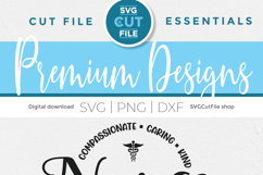Nurse svg, RN svg, Nursing svg, a nurse appreciation svg Product Image 6