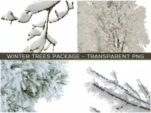 30 SNOW TREES TRANSPARENT PNG FILES, PHOTOSHOP OVERLAYS Product Image 6