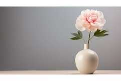 cream white biege background Product Image 1