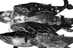 Monochrome space whales clipart. Galaxy whale Product Image 4