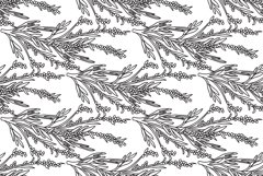 Line art olive plant branches with leaves and berries vector Product Image 1