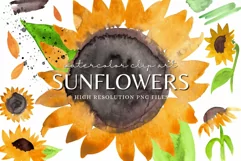 Sunflowers Watercolor Clip Art Nature Floral Sublimation Product Image 1