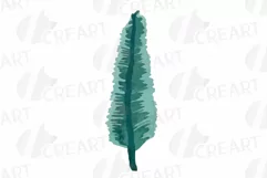 Cotton bolls and fir branch leafy autumn and winter decor Product Image 5