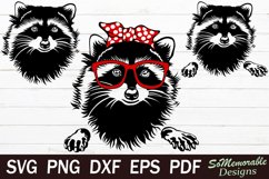 Raccoon SVG cut file, Raccoon svg design Product Image 1