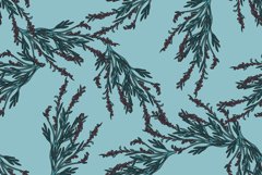 Botanical olive plant branches with leaves and berries Blue Product Image 1