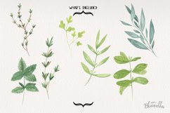 Herbs Watercolor 7 Elements Green Foliage Herb Garden Product Image 4