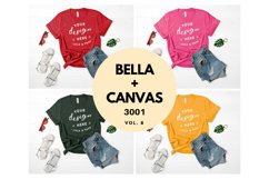 Bella Canvas Mockup Bundle 3001 T-Shirt Flat Lay Bundle Product Image 1