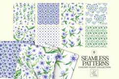 Chicory Plant Watercolor Collection Product Image 12