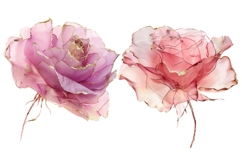 30 Watercolor Rose Clipart, Pink Floral PNG, Wedding Flowers Product Image 15