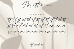 Mastine Elegant Handwritten Font Product Image 15