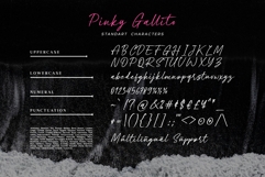 Pinky Gallito / Pretty Handwritten Product Image 15
