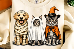 Trending Halloween PNG, Spooky Season PNG, Halloween Cat PNG Product Image 3