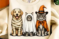 Trending Halloween PNG, Spooky Season PNG, Halloween Cat PNG Product Image 3