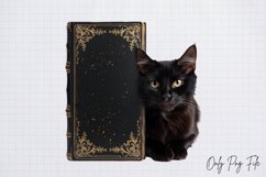 Books Halloween Clipart PNG Product Image 1