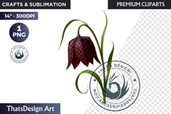 Flower Clipart PNG, Botanical Illustration Floral graphic Product Image 1