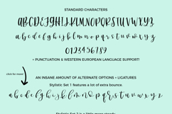 Dear Journal Calligraphy Script Product Image 15