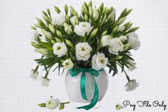 Snowdrops Clipart PNG PNG Product Image 1