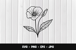 Botanical Tulip SVG PNG Product Image 1