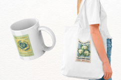 Summer Vegetable Seeds Packet Clipart Product Image 3