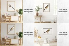Vintage Birds, Antique Birds Clipart Product Image 15
