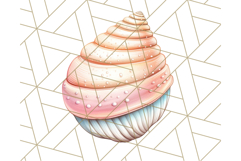 Natural Seashell Clipart PNG, Summer Nautical Beach Shell Product Image 3