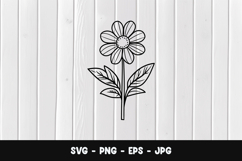 Daisy Sketch SVG PNG Product Image 1