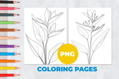 Tropical flower Coloring Pages | Coloring book Product Image 1