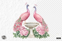 Pink Peacocks Garden Clipart - Peacock PNG Product Image 1