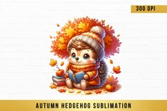 Autumn hedgehog Sublimation, Autumn hedgehog Clipart Product Image 1