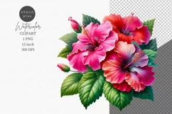 Hibiscus clipart, Holiday clipart, Flowers Product Image 1
