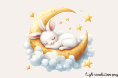 Cute Easter Bunny Sublimation Clipart PNG Product Image 1