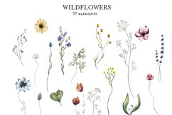 Watercolor Wildflowers Product Image 3