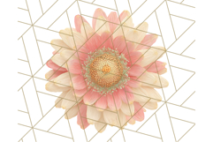 Fall Foliage Clipart PNG, Pink and Green Leaves Product Image 3