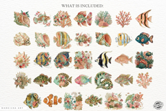 Dreamy Coral Reef Clipart Product Image 4