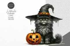 Halloween clipart, Cat clipart, Autumn clipart Product Image 1