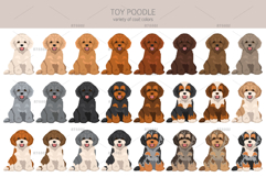 Toy poodle clipart Product Image 3