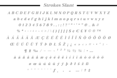 Fox Bravion Product Image 15