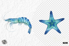 Watercolor Sea Life PNG Clipart Product Image 1