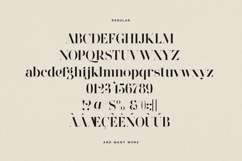 Wonderz Typeface A Modern Serif Product Image 15