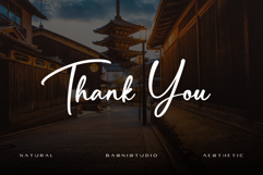 Hiragenda Signature font Product Image 16