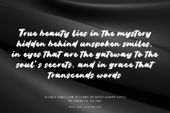 Secret Director Handbrush Bold Script Font Product Image 14
