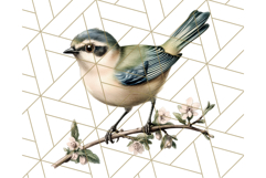 Vintage Song Bird Clipart PNG, Botanical Bird Art Clip Art Product Image 3