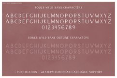 Souls Wylde Font Trio - Script Font and Sans Fonts Product Image 15