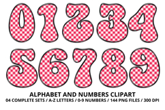Gingham Plaid Alphabet Letters &amp; Numbers Clipart PNG 300DPI Product Image 5