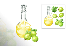 Gooseberry. Watercolor collection Product Image 16