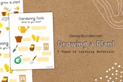 Growing a Plant and Plant Parts Educational Materials Product Image 2