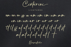 Cintarini Handwritten Font Product Image 15