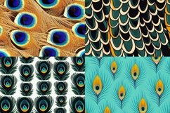 Peacock Seamless Patterns Backgrounds Product Image 6