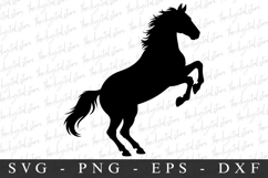 Horse SVG | SVG Cut files | Cricut Product Image 1