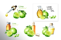 Lime citrus. Watercolor collection Product Image 16